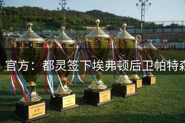 官方：都灵签下埃弗顿后卫帕特森；据悉埃弗顿有较高二转分成