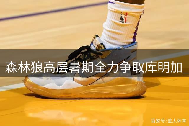 森林狼高层暑期全力争取库明加 总裁亲自飞赴迈阿密洽谈